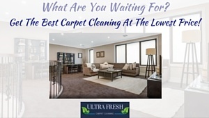 Ultra Fresh Carpet Cleaning
